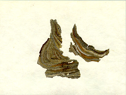 bark057w