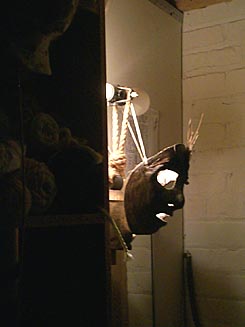 mask001w